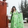 Green organza hand painted suit set